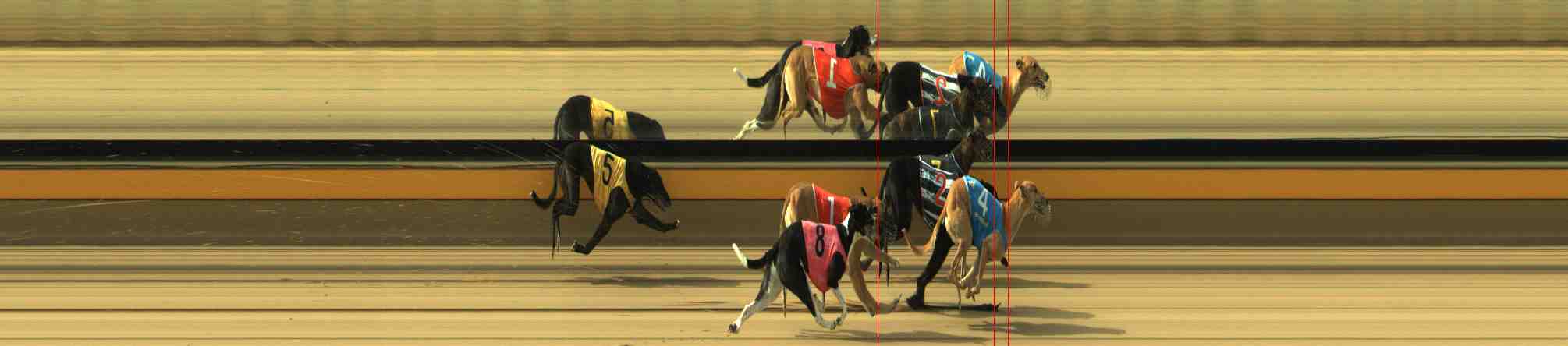 Photo finish for Horsham Race 3