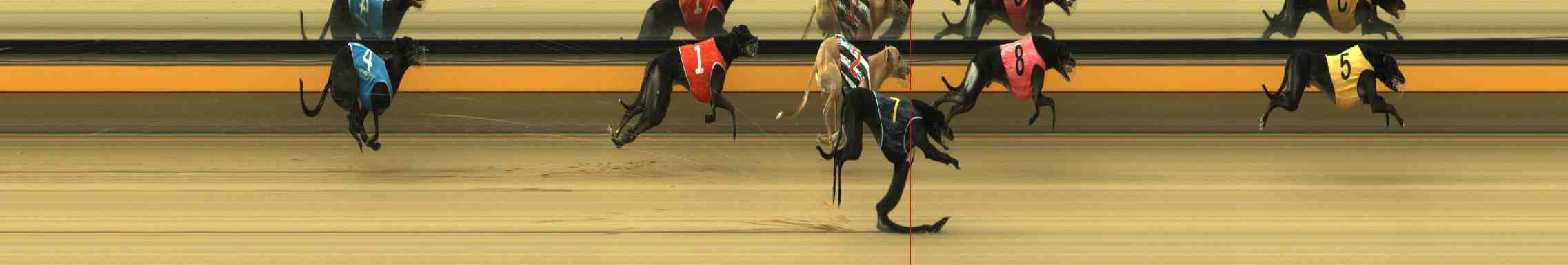 Photo finish for Horsham Race 4