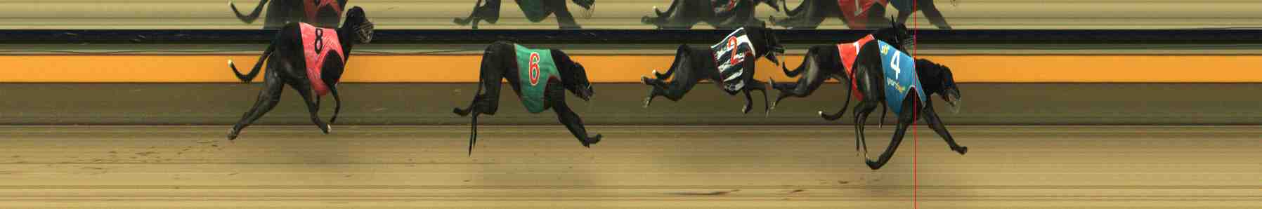 Photo finish for Horsham Race 5