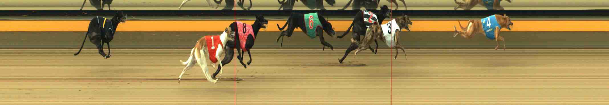 Photo finish for Horsham Race 6