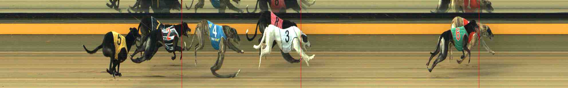 Photo finish for Horsham Race 7