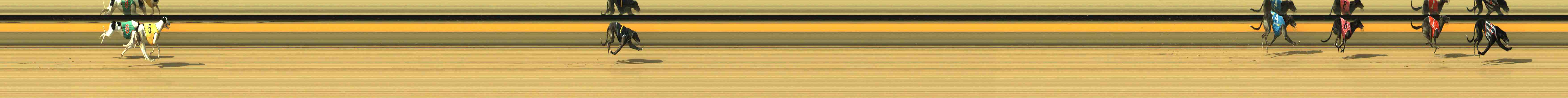 Photo finish for Horsham Race 8