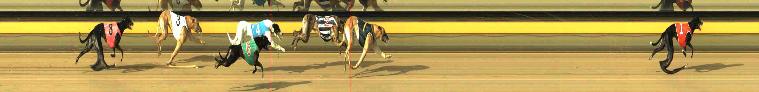 Photo finish for Horsham Race 10