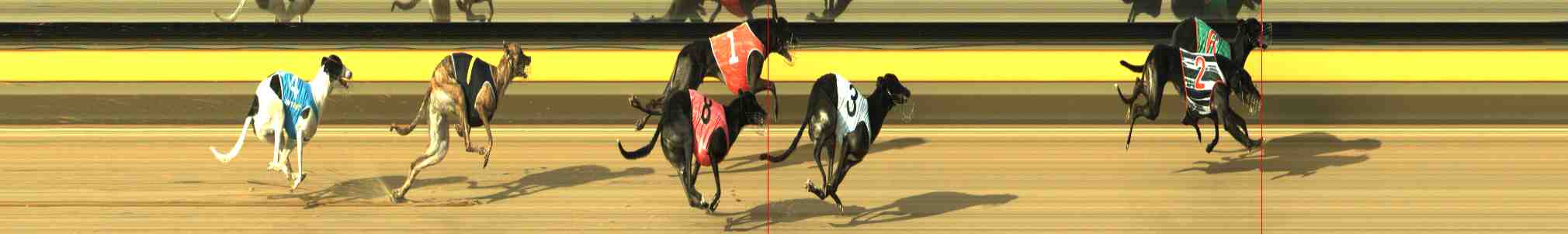 Photo finish for Horsham Race 11