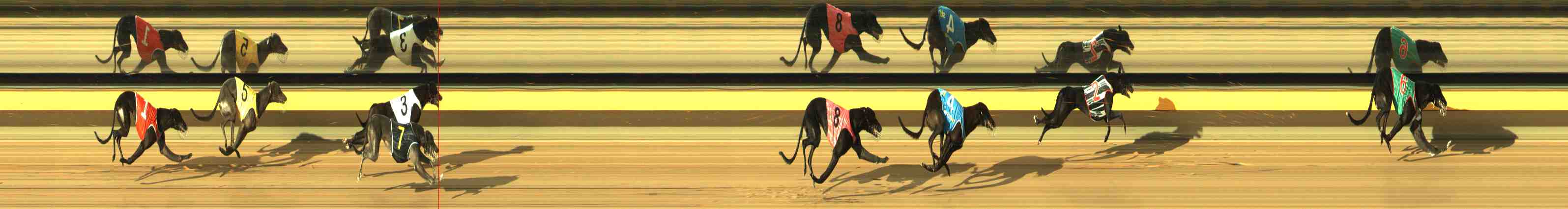 Photo finish for Horsham Race 2