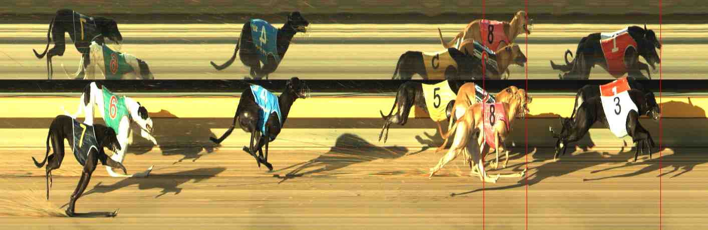 Photo finish for Horsham Race 3