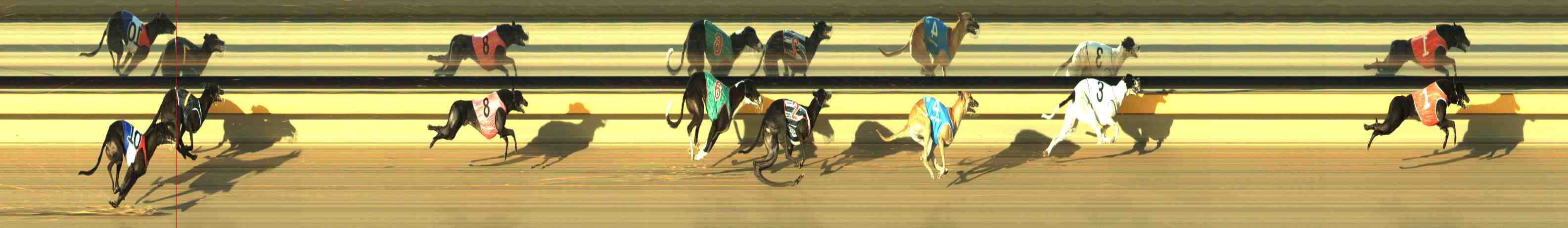 Photo finish for Horsham Race 4