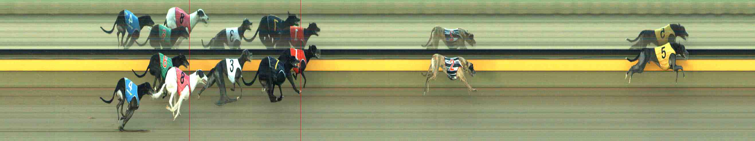 Photo finish for Horsham Race 5
