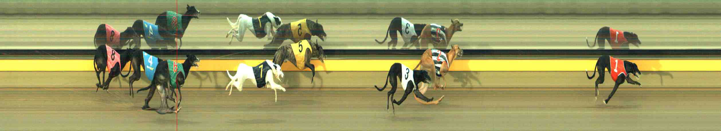 Photo finish for Horsham Race 6