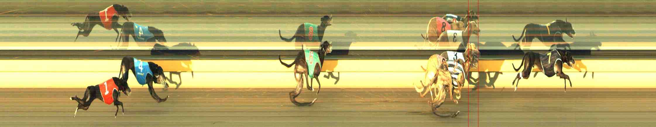 Photo finish for Horsham Race 7