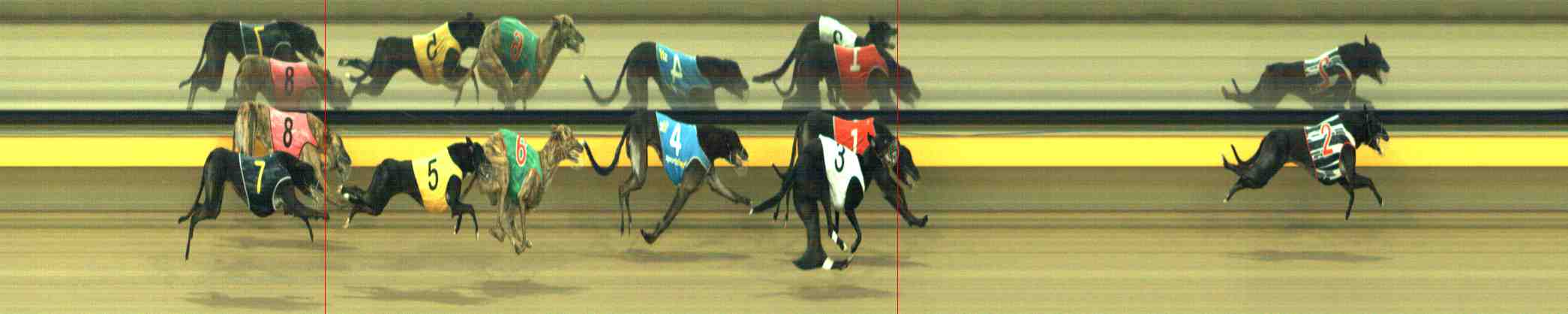 Photo finish for Horsham Race 8