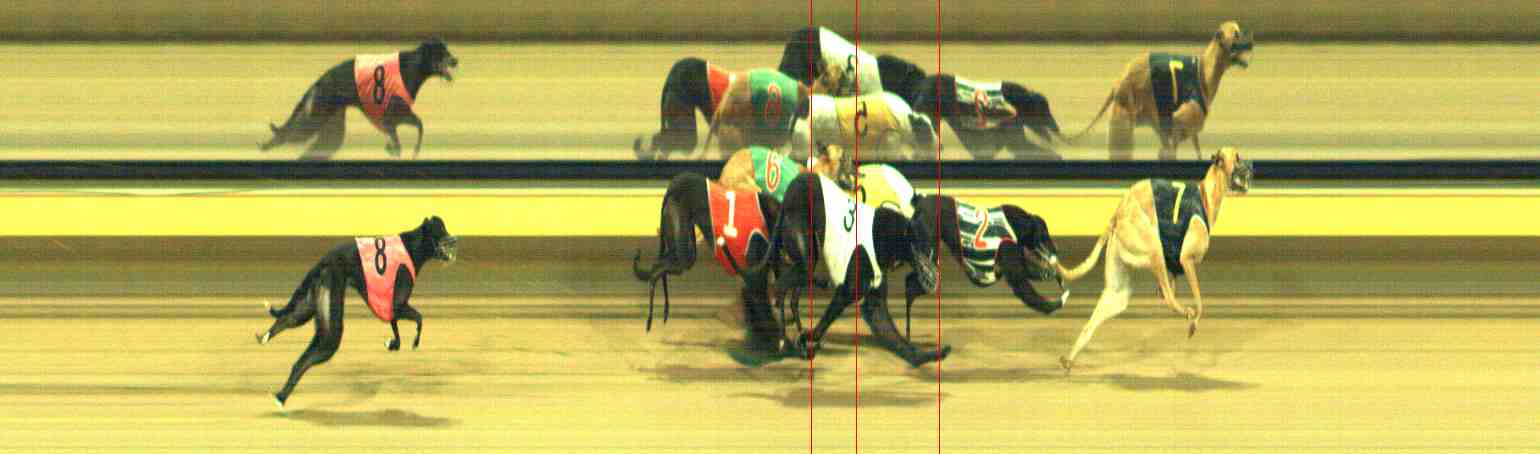 Photo finish for Horsham Race 9