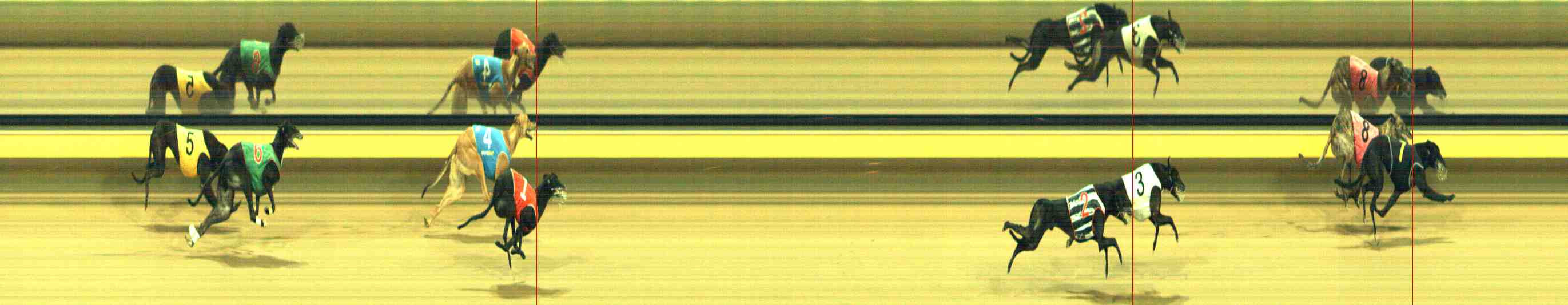 Photo finish for Horsham Race 10