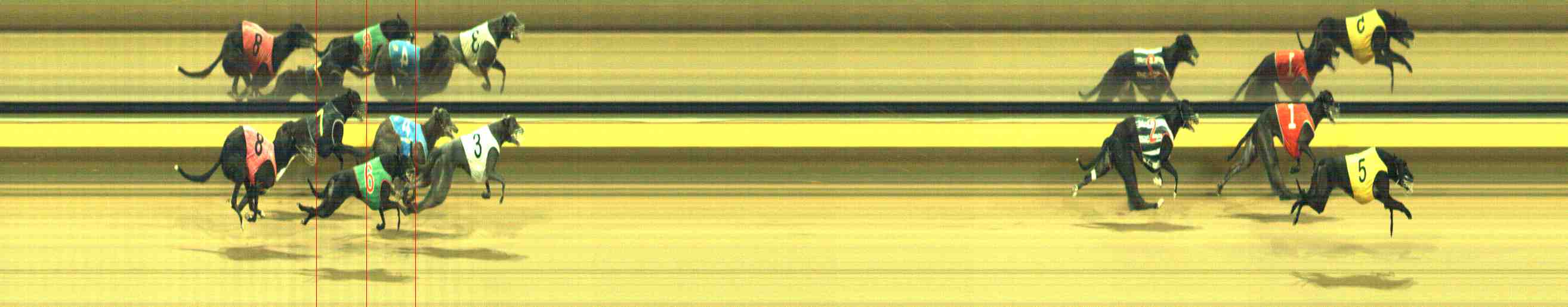 Photo finish for Horsham Race 11