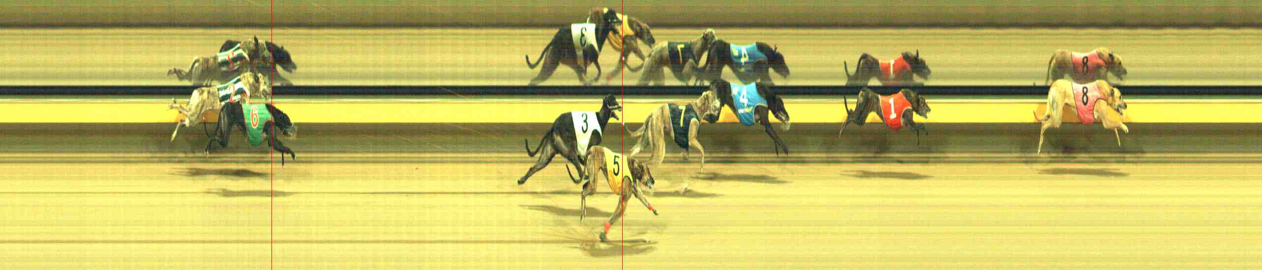 Photo finish for Horsham Race 12