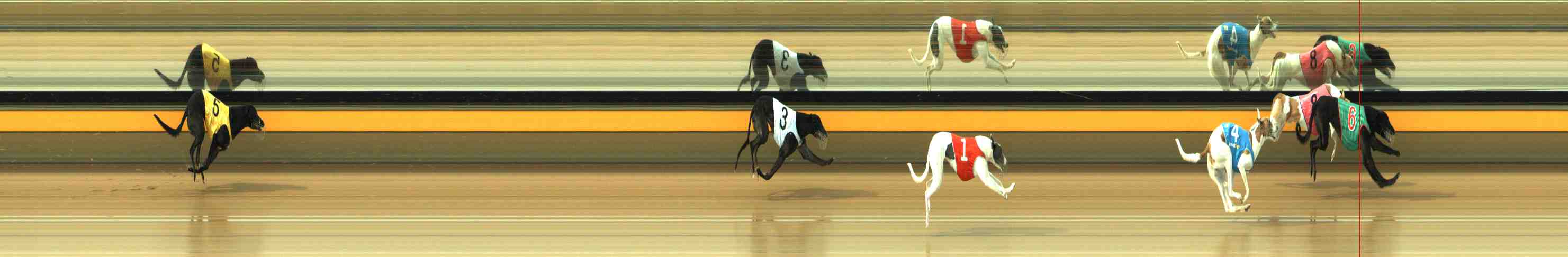 Race result finish photo