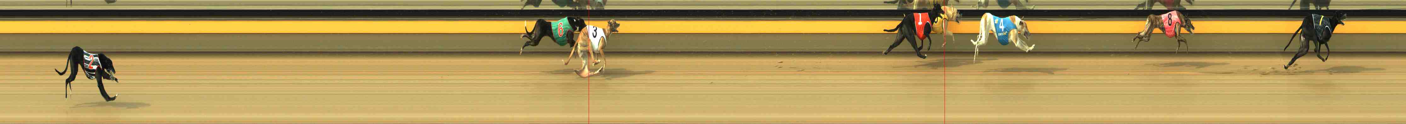 Photo finish for Horsham Race 2