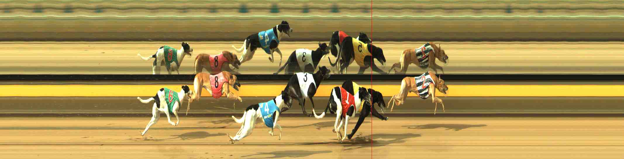 Photo finish for Horsham Race 3