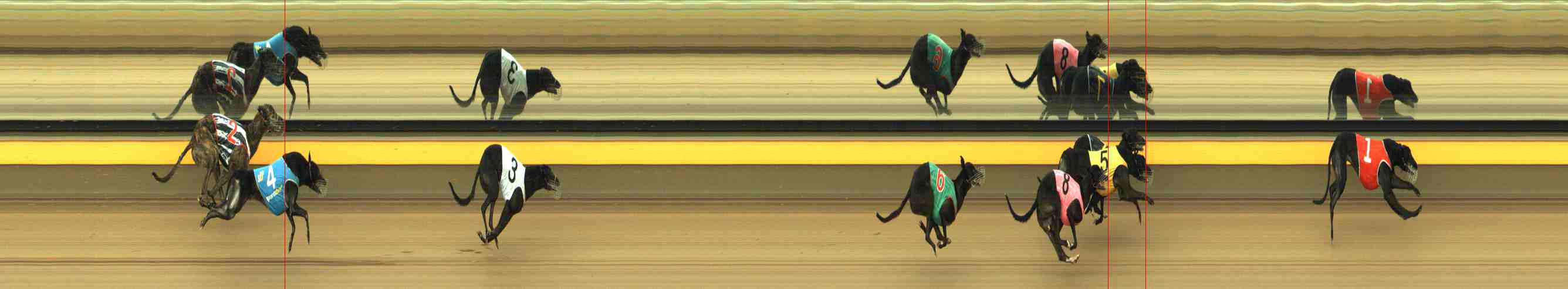 Photo finish for Horsham Race 4