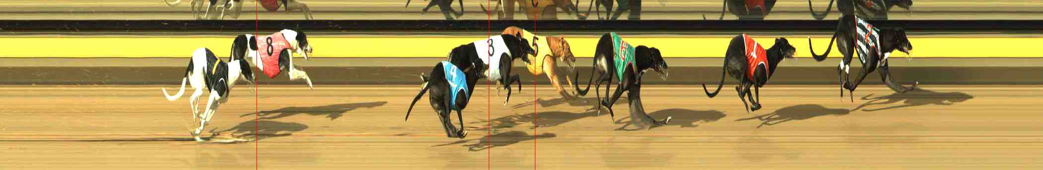 Photo finish for Horsham Race 5