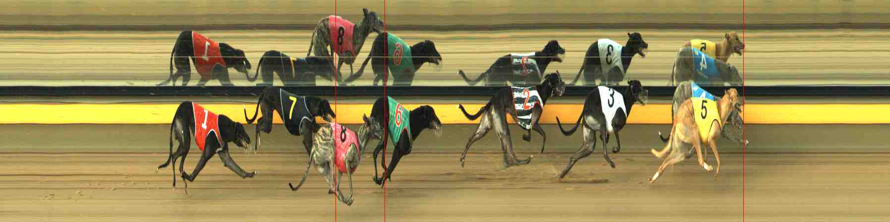 Photo finish for Horsham Race 6