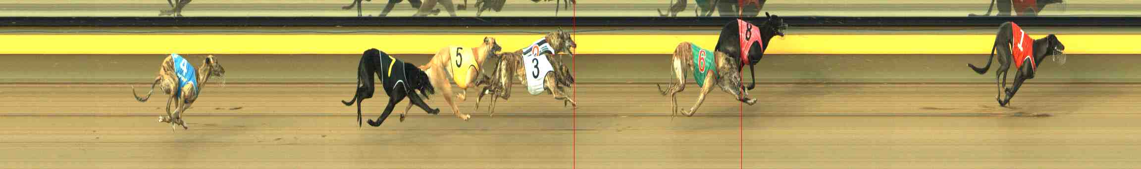 Photo finish for Horsham Race 7
