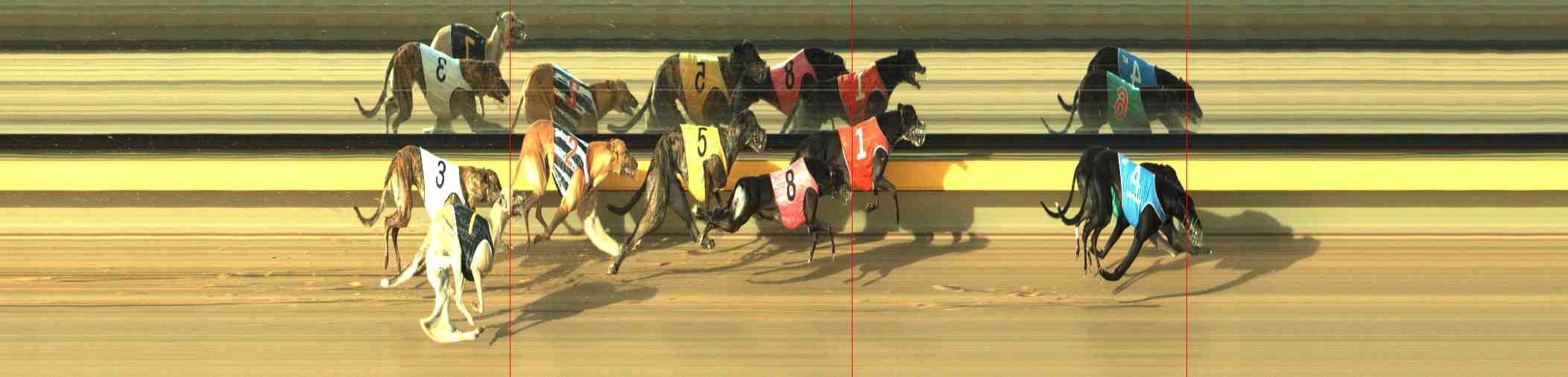 Photo finish for Horsham Race 8