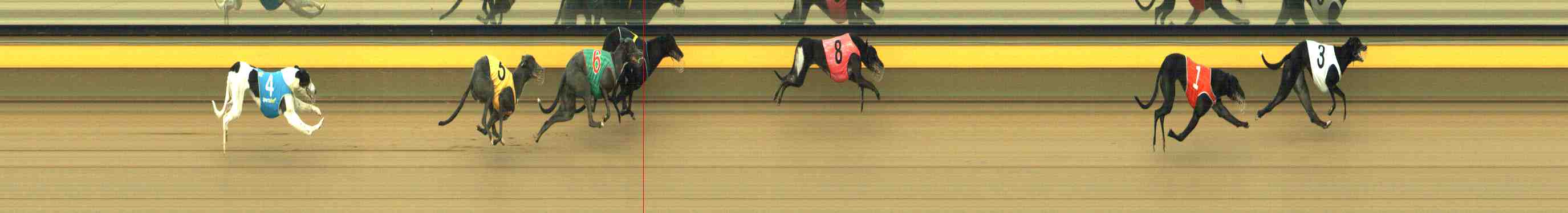 Photo finish for Horsham Race 9