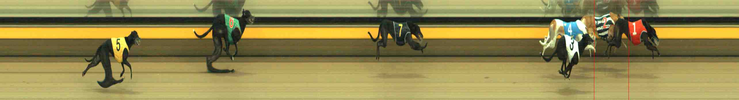 Photo finish for Horsham Race 11