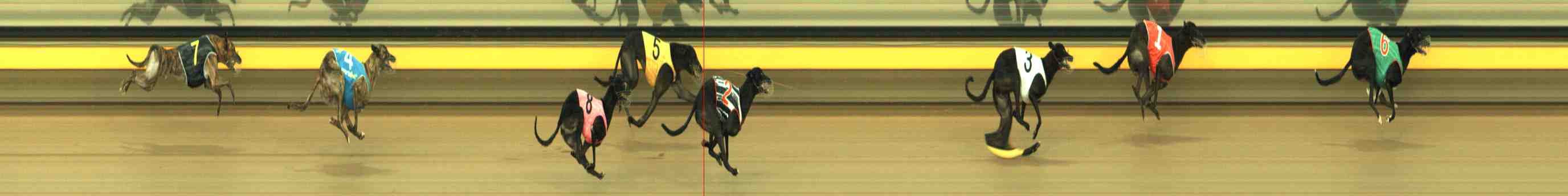 Photo finish for Horsham Race 12
