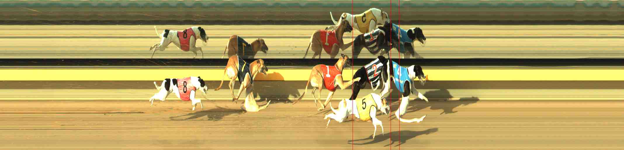 Photo finish for Horsham Race 3