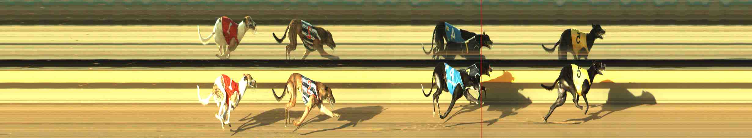 Photo finish for Horsham Race 4