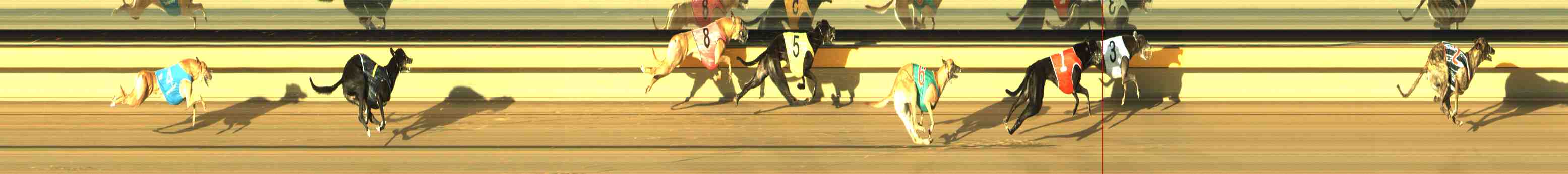 Photo finish for Horsham Race 5