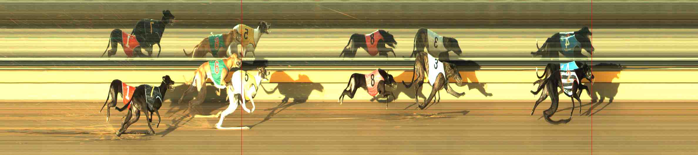 Photo finish for Horsham Race 6