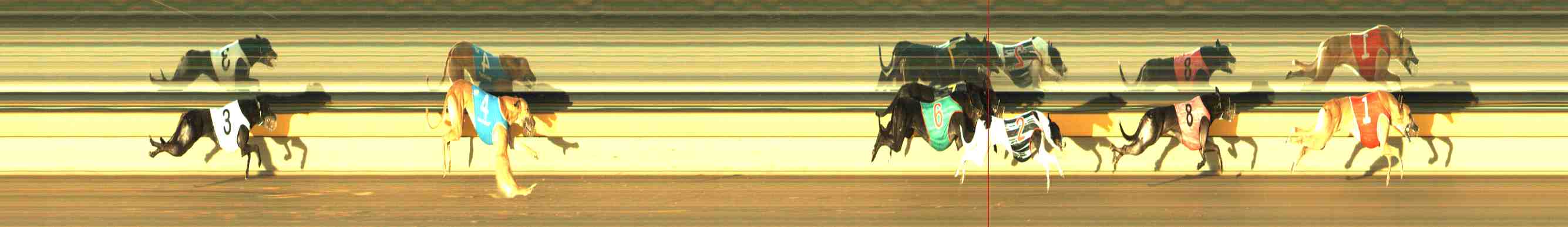 Photo finish for Horsham Race 7