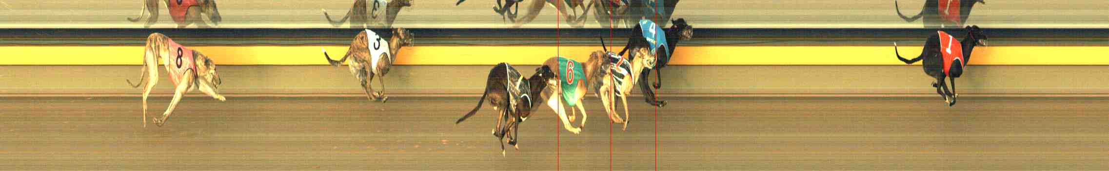 Photo finish for Horsham Race 8