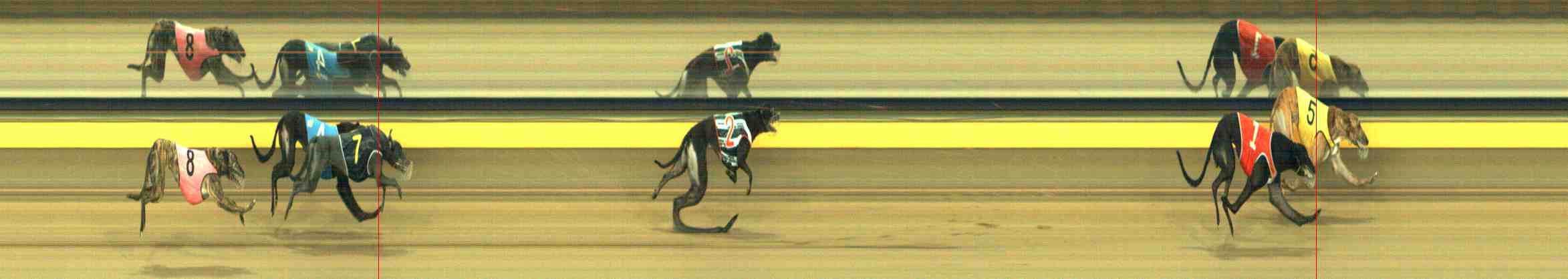 Photo finish for Horsham Race 9