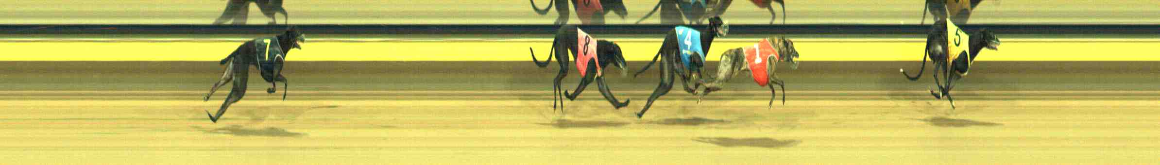 Photo finish for Horsham Race 10