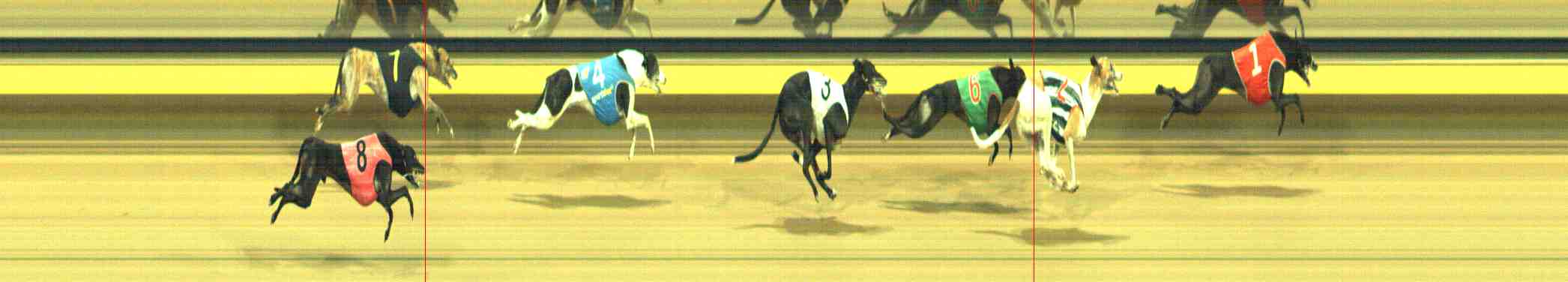 Photo finish for Horsham Race 11