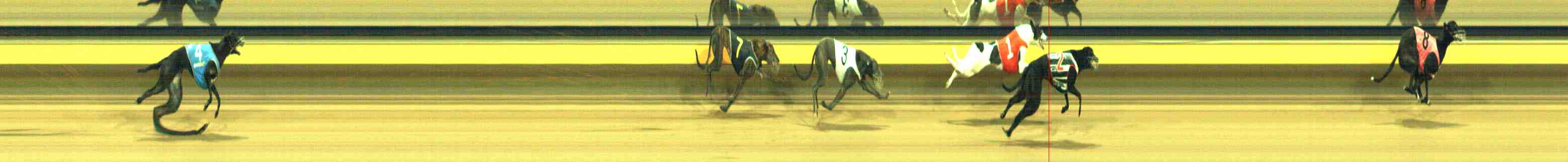 Photo finish for Horsham Race 12