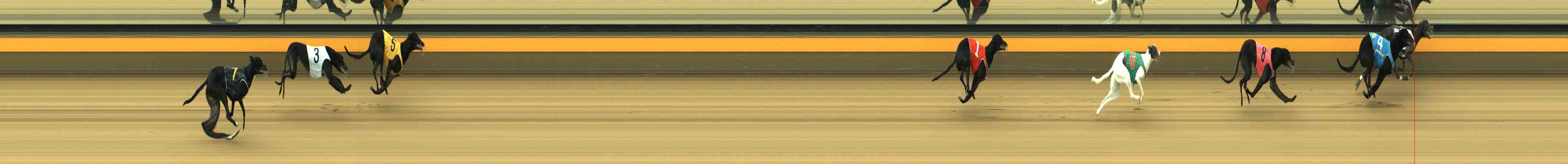 Race result finish photo