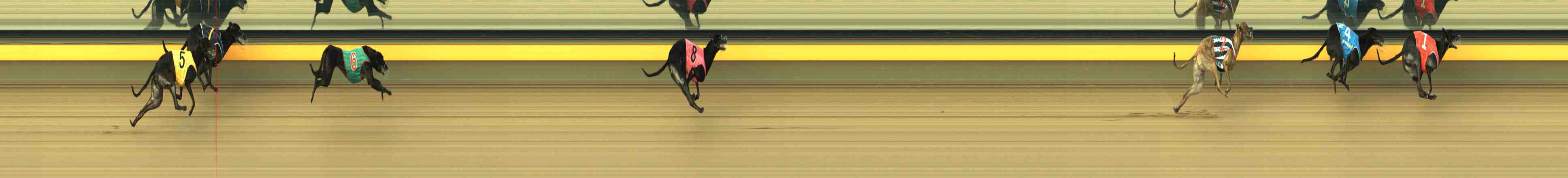 Photo finish for Horsham Race 2