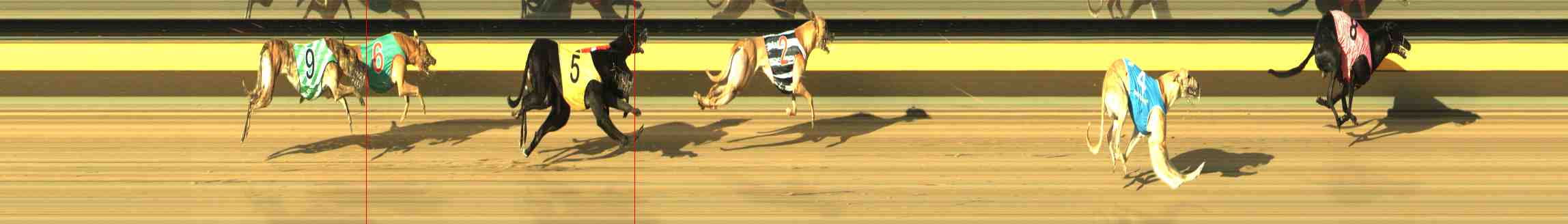 Photo finish for Horsham Race 3
