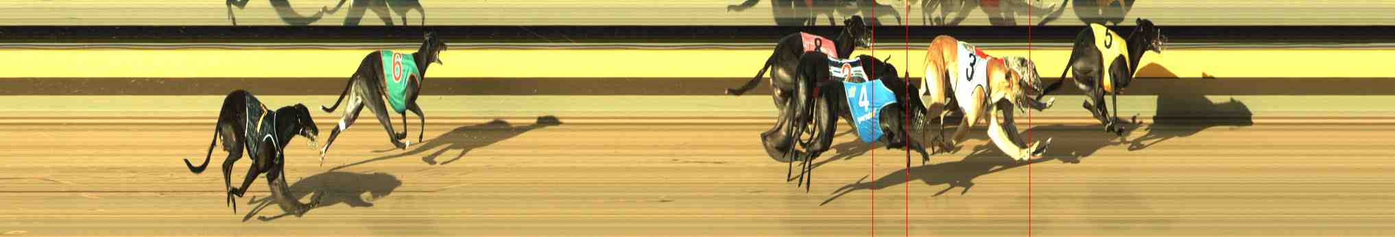Photo finish for Horsham Race 4