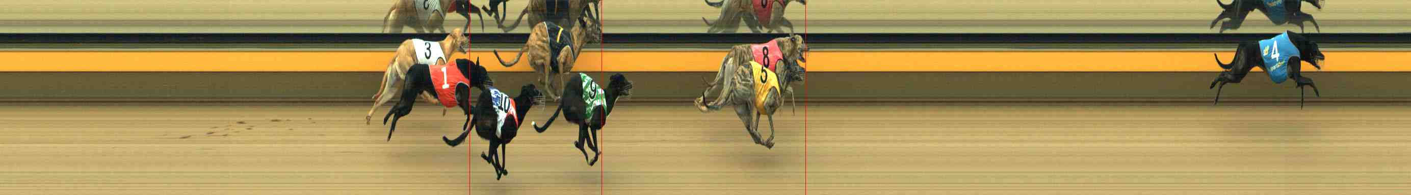 Photo finish for Horsham Race 5