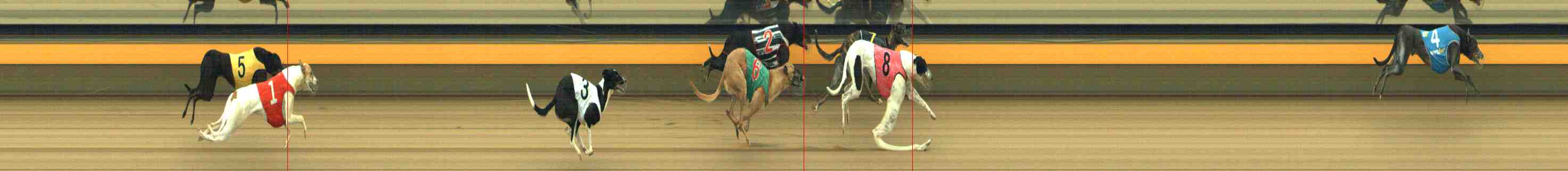 Photo finish for Horsham Race 6