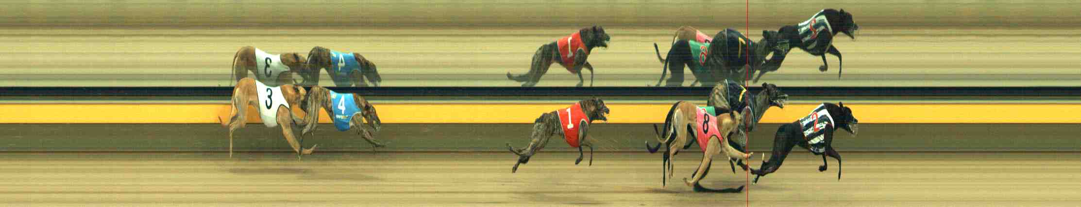 Photo finish for Horsham Race 7