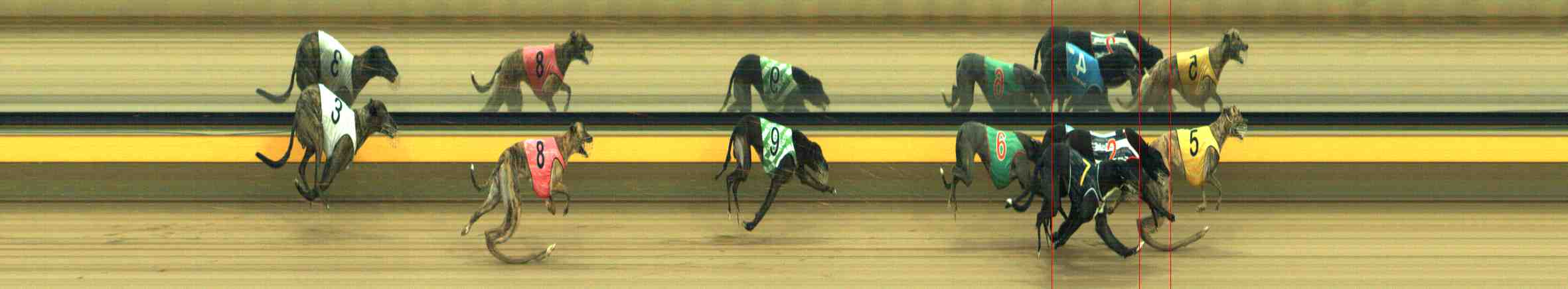 Photo finish for Horsham Race 8
