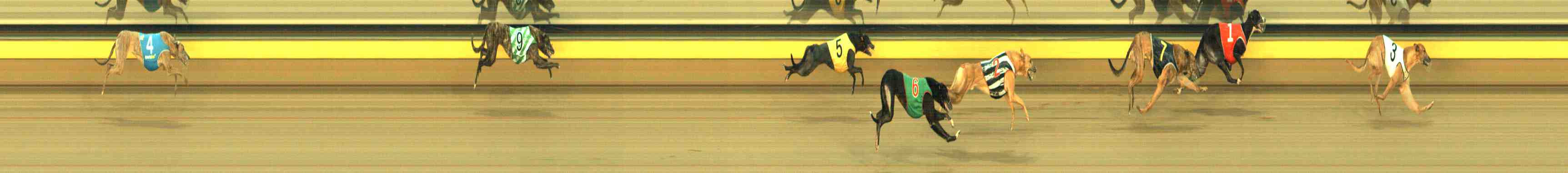 Photo finish for Horsham Race 9