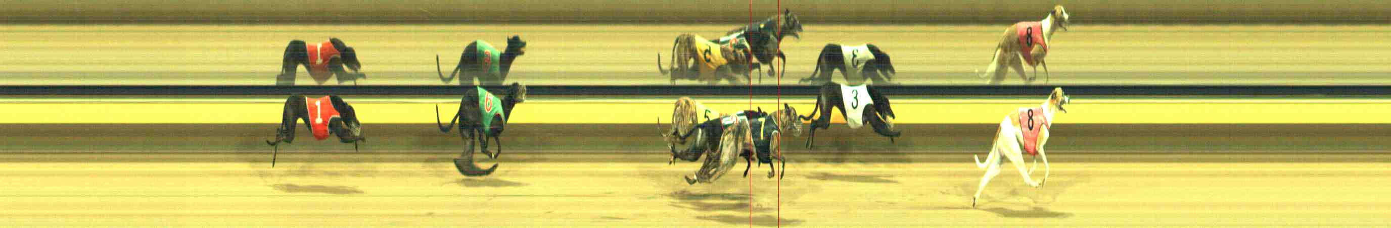 Photo finish for Horsham Race 11